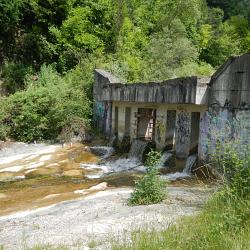 dscn2339.jpg