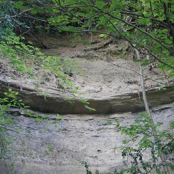 dscn2329.jpg