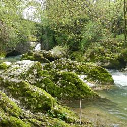 dscn1503.jpg